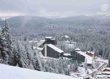 A ski resort nestled among snow-covered trees, offering a picturesque winter getaway