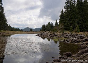 A serene pond nestled amidst a lush forest, adorned with rocks and trees, creating a tranquil and picturesque scene.